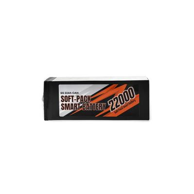 Soft Pack Smart Battery