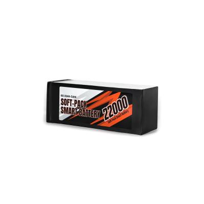 Soft Pack Smart Battery